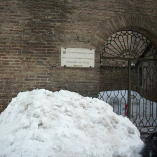Gallery Urbino n. 73 / 76187