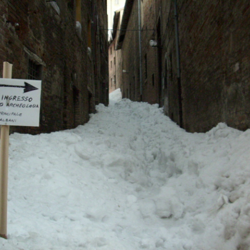 Gallery Urbino n. 74 / 76188