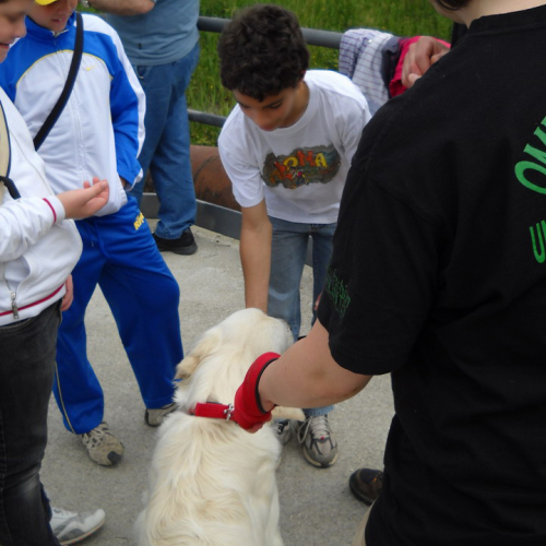 Attivit‡ con scuole 20/05 n. 21 / 52902