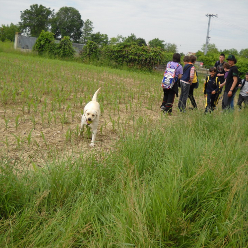 Attivit‡ con scuole 20/05 n. 22 / 52903