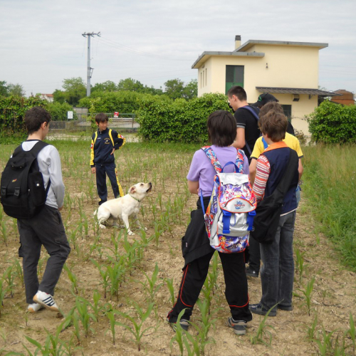 Attivit‡ con scuole 20/05 n. 23 / 52904