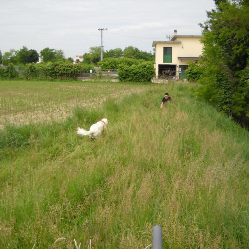 Attivit‡ con scuole 20/05 n. 24 / 52905