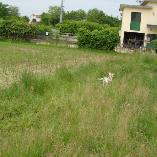 Attivit‡ con scuole 20/05 n. 25 / 52906