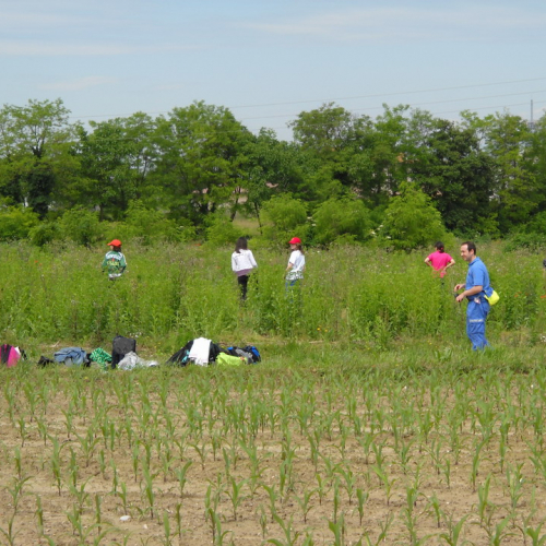 Attivit‡ con scuole 20/05 n. 26 / 52907