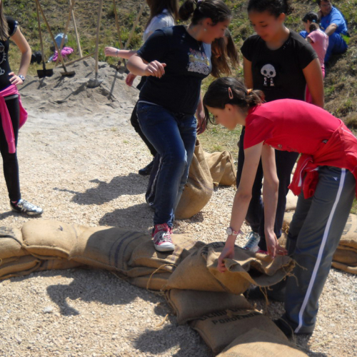 Attivit‡ con scuole 20/05 n. 35 / 52916