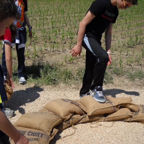 Attivit‡ con scuole 20/05 n. 37 / 52918