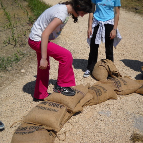 Attivit‡ con scuole 20/05 n. 38 / 52919