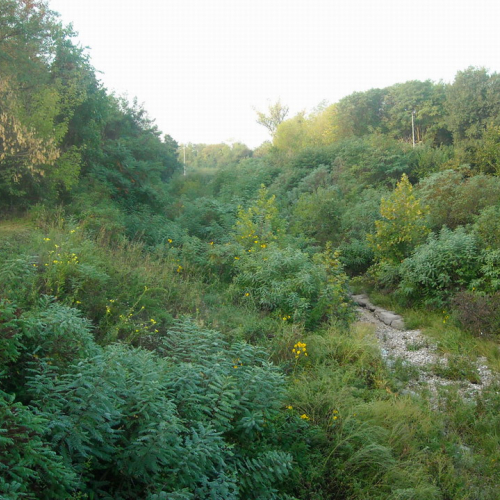 Attivit‡ 19-20/09 n. 1 / 42806