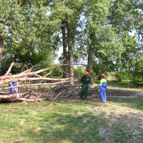 Attivit‡ 07/05/11 n. 8 / 65771