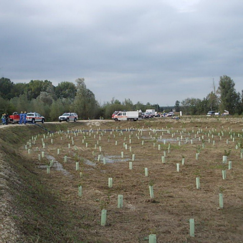 Corso motopompe 30/09/12 n. 29 / 86539
