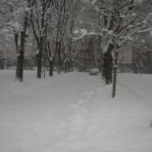 Milano 07/01/09 n. D 5 / 33939