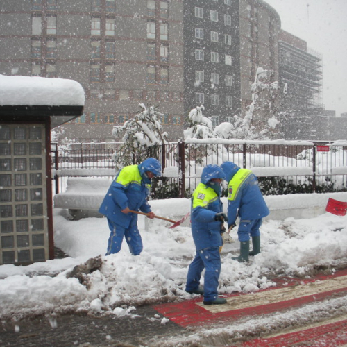 Milano 07/01/09 n. D 15 / 33949