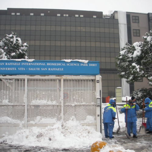 Milano 07/01/09 n. D 17 / 33951