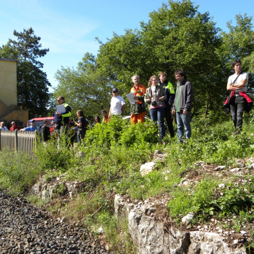Karst Exercise 2011 n. A 4 / 66759