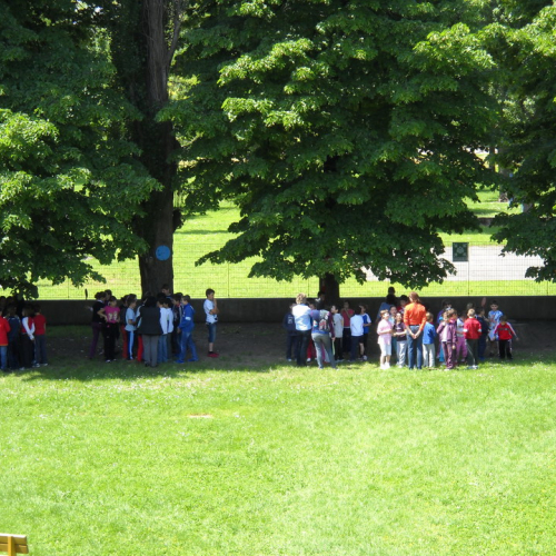 Prova evacuazione scuole 19/05 n. 9 / 52511
