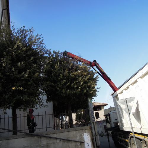 Addestramento 18/02/12 n. 13 / 76211