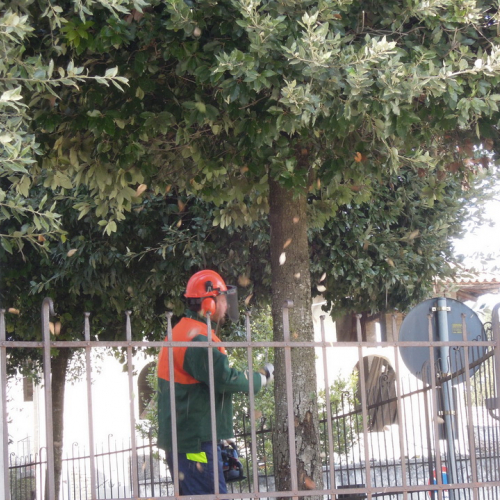 Addestramento 18/02/12 n. 14 / 76212
