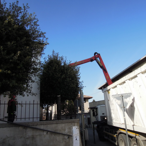 Addestramento 18/02/12 n. 19 / 76217