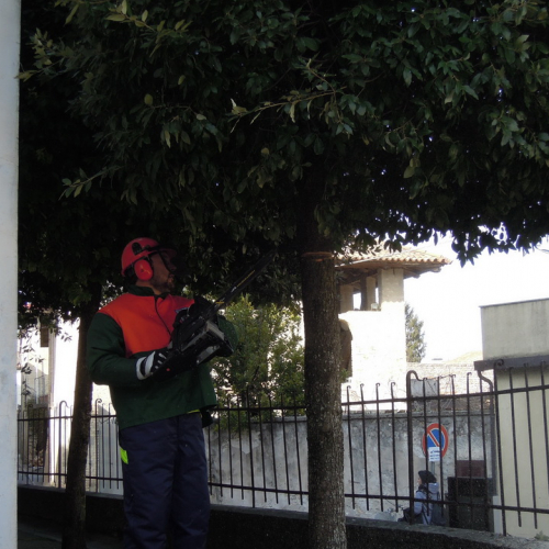 Addestramento 18/02/12 n. 20 / 76218