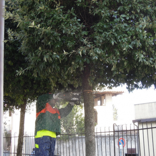 Addestramento 18/02/12 n. 21 / 76219