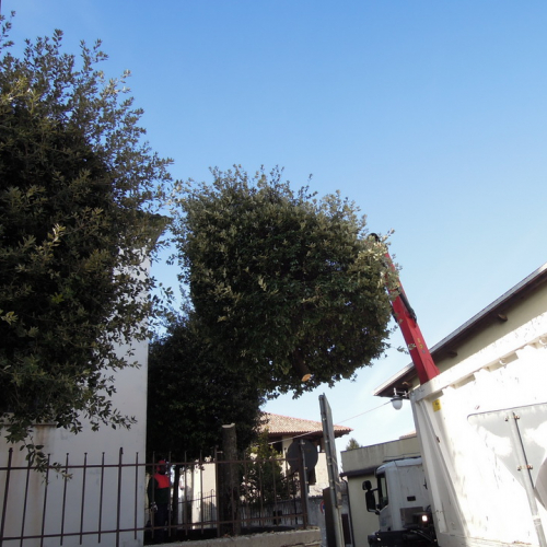 Addestramento 18/02/12 n. 22 / 76220