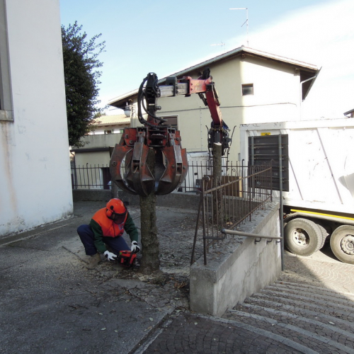 Addestramento 18/02/12 n. 35 / 76233