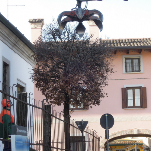 Addestramento 18/02/12 n. 40 / 76238