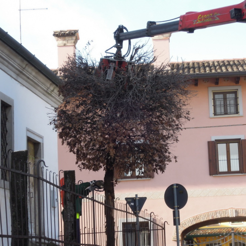 Addestramento 18/02/12 n. 41 / 76239