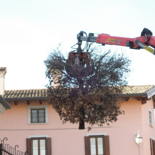 Addestramento 18/02/12 n. 43 / 76241