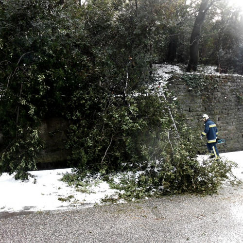 Interventi per la neve del 12/02/13 n. 7 / 90827