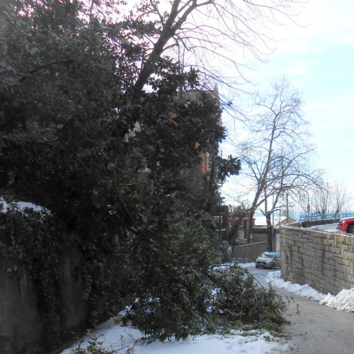 Interventi per la neve del 12/02/13 n. 8 / 90828