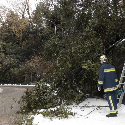Interventi per la neve del 12/02/13 n. 9 / 90829