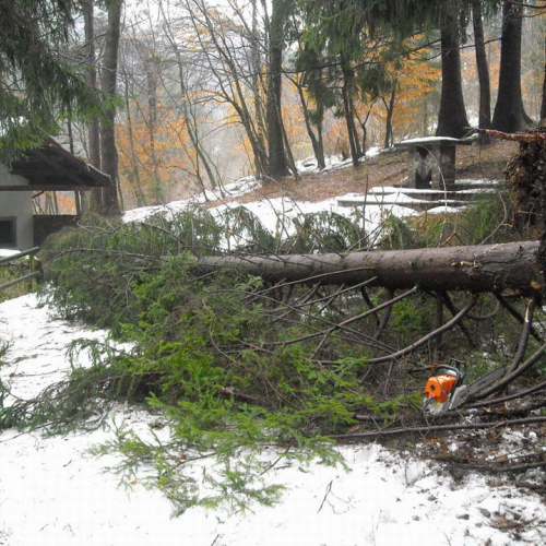 Volontari a Villa Santina n. 1 / 33362