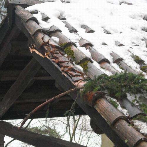 Volontari a Villa Santina n. 2 / 33363