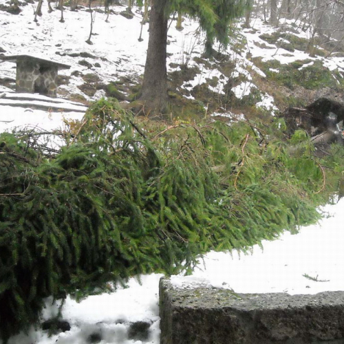 Volontari a Villa Santina n. 4 / 33365