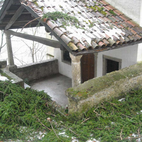 Volontari a Villa Santina n. 5 / 33366