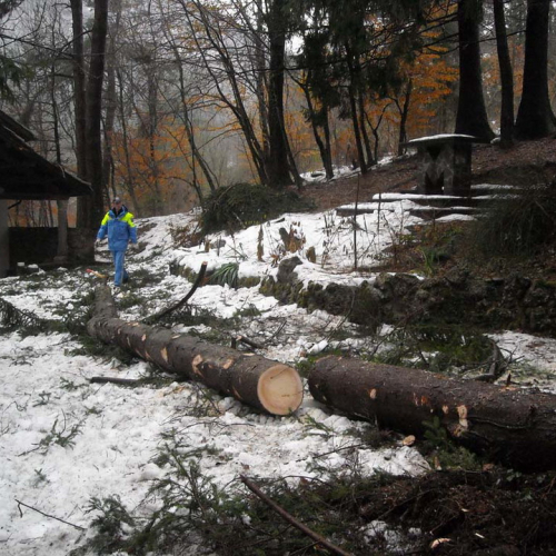 Volontari a Villa Santina n. 7 / 33368