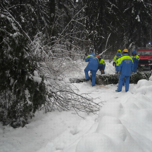 Volontari a Villa Santina n. 8 / 33369