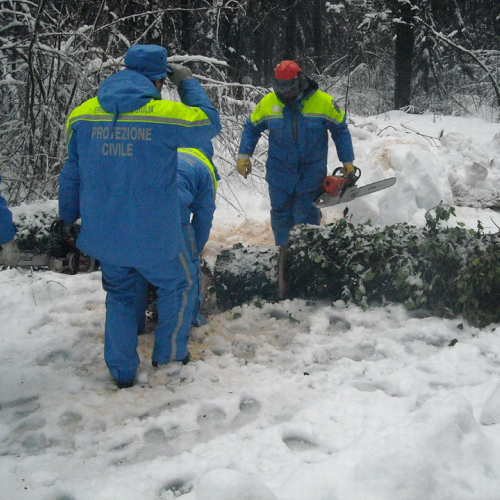 Volontari a Villa Santina n. 9 / 33370