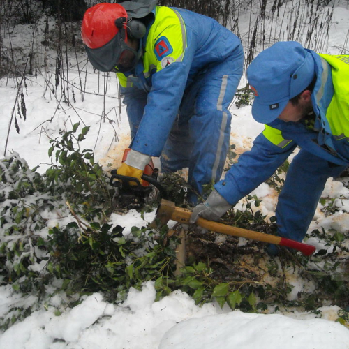 Volontari a Villa Santina n. 10 / 33371