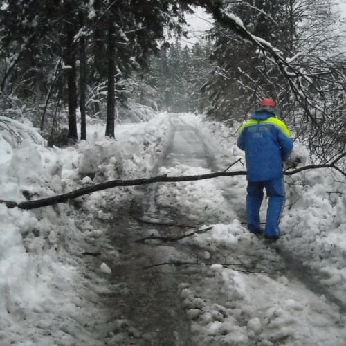 Volontari a Villa Santina n. 11 / 33372