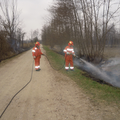 Attivit‡ prevenzione antincendio n. 1 / 77872