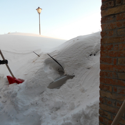 Interventi volontari a nel comune di Fratte Rosa n. 1 / 76813