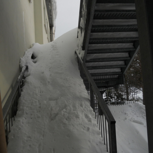 Interventi volontari a nel comune di Fratte Rosa n. 2 / 76814