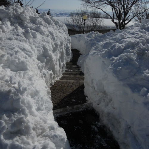 Interventi volontari a nel comune di Fratte Rosa n. 3 / 76815