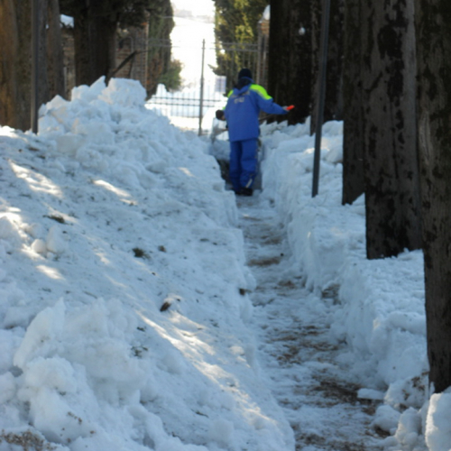 Interventi volontari a nel comune di Fratte Rosa n. 17 / 76829