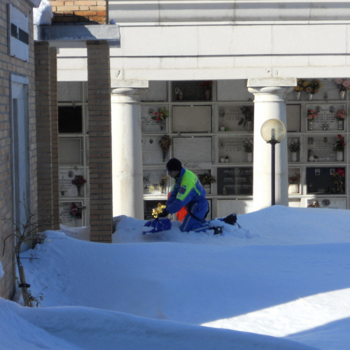 Interventi volontari a nel comune di Fratte Rosa n. 19 / 76831