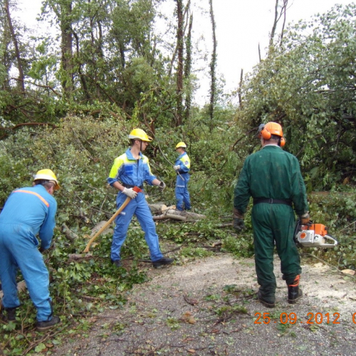 Intervento in zona tra i comuni di Manzano e Premariacco n. 33 / 86266