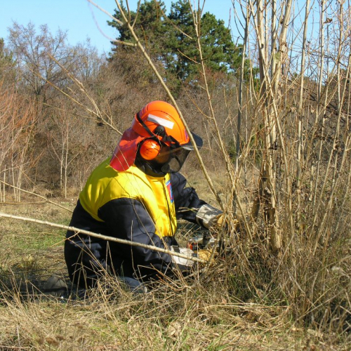 Attivit‡ di prevenzione a Trieste n. 7 / 32622