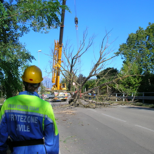 Addestramento a Cordenons 01/10/2011 n. 7 / 70798